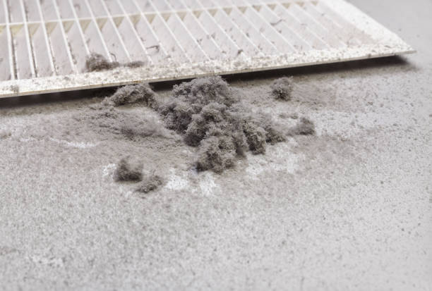 Air Duct Mold Removal in Norcross, GA
