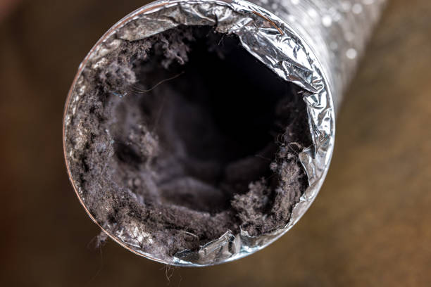 Best Air Duct Mold Removal  in Norcross, GA